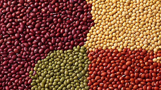 Global Distribution and Packaging Trends of Pulses: An Overview