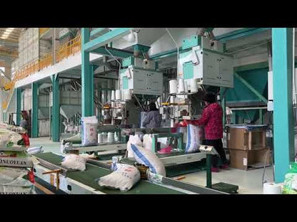 Ewinall DCS-50FE2-B Grain Seeds Lentil 50kg Rice Packing Machine 25kg Sugar