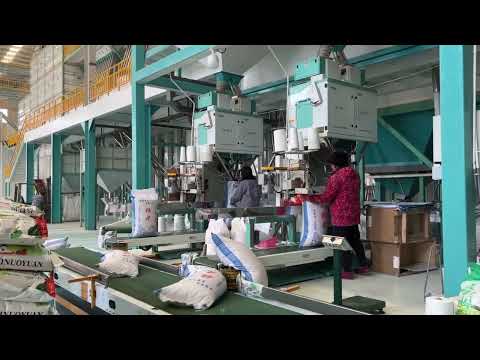 Ewinall DCS-50FE2-B Grain Seeds Lentil 50kg Rice Packing Machine 25kg Sugar
